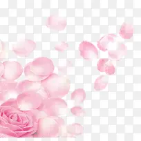 粉色鲜花花瓣装饰图案
