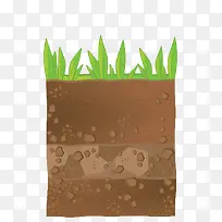 手绘土地植物横切面