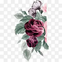 美丽紫色玫瑰花装饰