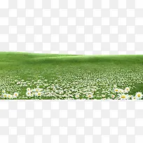 绿色草原花朵装饰边框