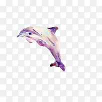 海豚彩绘图素材图片