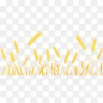 手绘麦田里的小麦