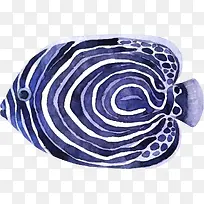 海洋生物螺旋条纹小鱼