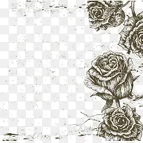 玫瑰黑白边框矢量图片