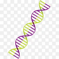 缠绕紫绿色矢量卡通风格DNA