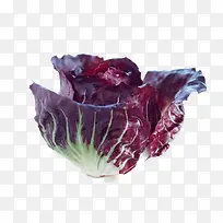食物紫菜