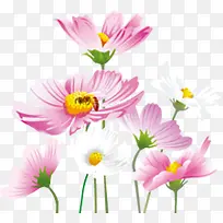 春天清新手绘粉白色花朵