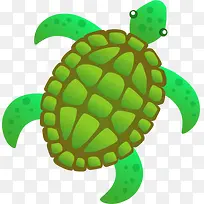 海洋生物绿色海龟