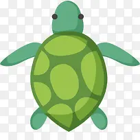 世界海洋日绿色海龟