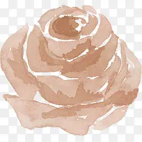 美丽的棕色玫瑰花