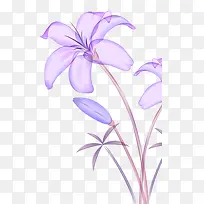 五彩紫色花朵