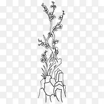 岩石丛上生长的梅花树简笔画
