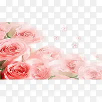 渐变透明的粉色玫瑰花婚庆装饰