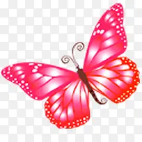 蝴蝶粉红色的butterfly-icons