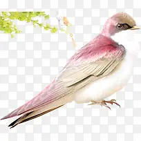 粉色小鸟图案
