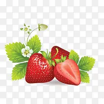 高清草莓图案元素