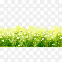 绿色春季踏青鲜花