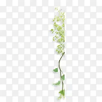 免抠透明嫩绿色小草