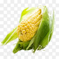 黄色新鲜玉米果蔬素材图