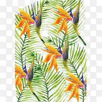 手绘金银花矢量图