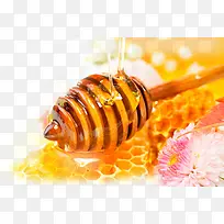 养生天然蜂蜜花朵蜂巢高清