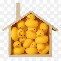黄色玩具橡胶鸭被塞在木屋里实物