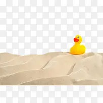 黄色玩具在沙漠中行走橡胶鸭实物