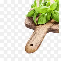 板子上的药草