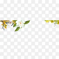 白色树枝梨花栀子花装饰图案