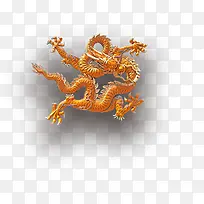五爪金龙