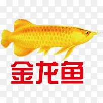 金龙鱼农产品LOGO