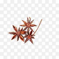 星星点缀八角香料
