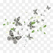 飞舞的蝴蝶和绿叶