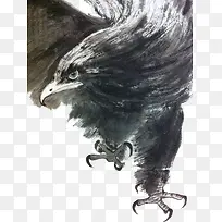 鹰传统水墨画
