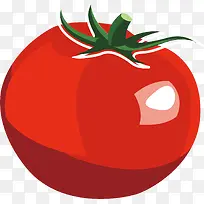 矢量图水彩红色番茄