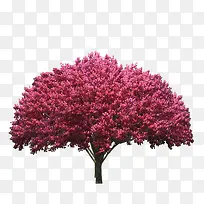 粉红色大树图案