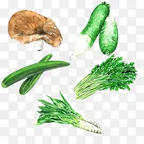 蔬菜各种种类合集手绘图片