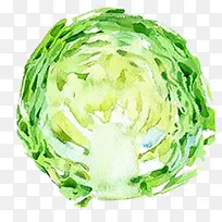 手绘水彩切好的蔬菜素材白菜