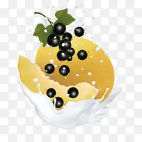 矢量哈密瓜