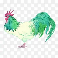 创意水彩绿色公鸡