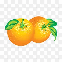 矢量两个橘子