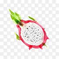 手绘火龙果