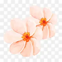 粉红色花朵手绘水彩花朵设计素材