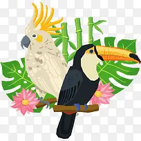 热带雨林鹦鹉大嘴鸟