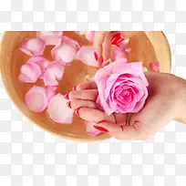 玫瑰花与水疗图片