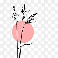 粉色夕阳前的芦苇剪影