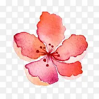 高清免抠手绘水彩花朵素材