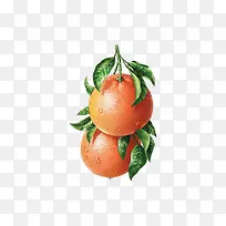 水果新鲜橙子
