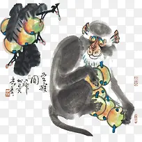 中国风水墨画猿猴抱着枇杷插画免