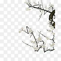 梅花